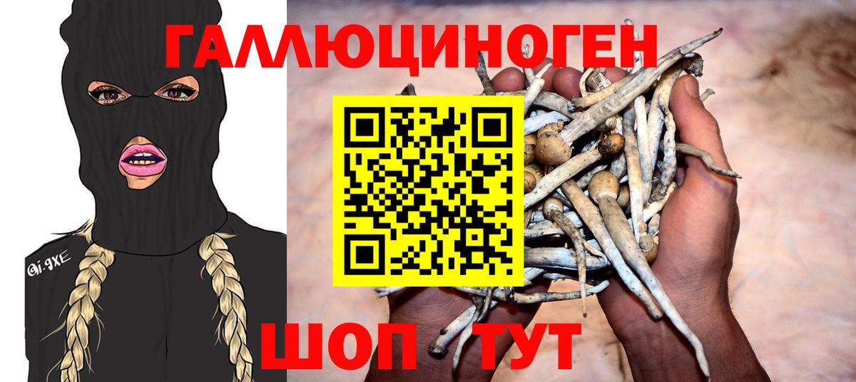 Улан-Удэ  Галлюциногенные грибы Magic Shrooms  Вход с VPN 